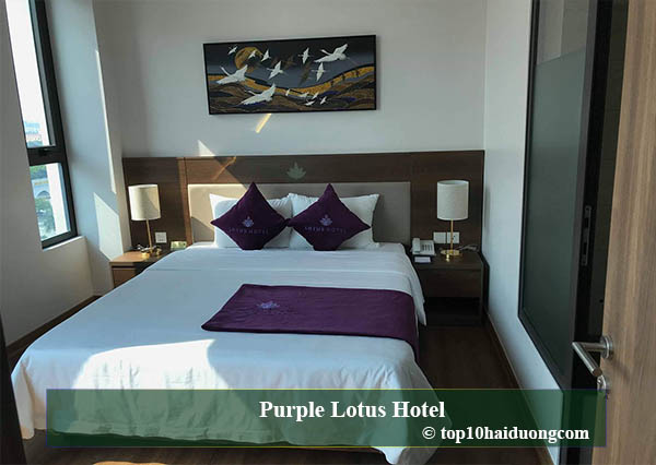 Purple Lotus Hotel