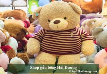 Shop gấu bông Hải Dương