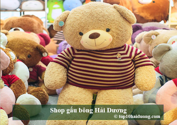 Shop gấu bông Hải Dương