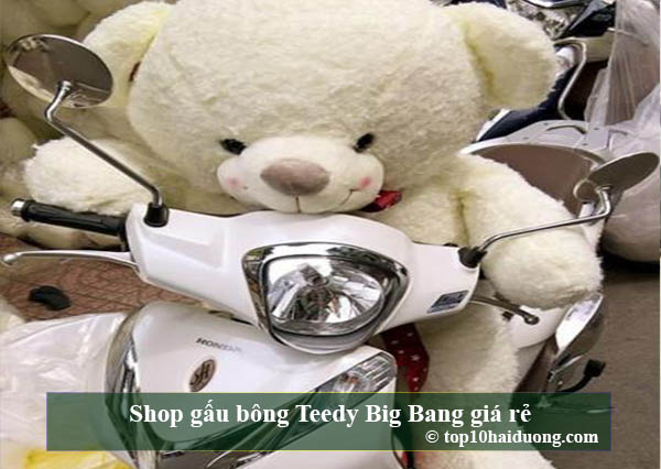 Shop gấu bông Teedy Big Bang giá rẻ